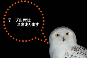 伊豆の国市 青あらし