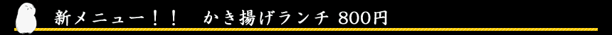かき揚げ丼ランチ
